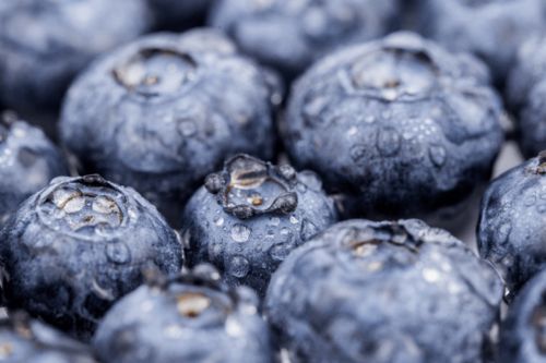 先睹為快 速看第十三屆亞果會都有哪些優(yōu)質果品