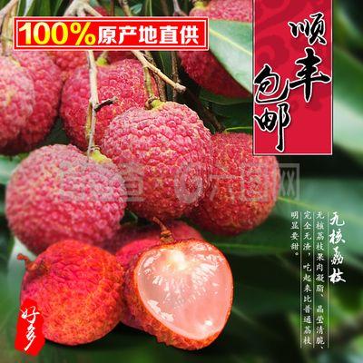 靈山荔枝直通車圖